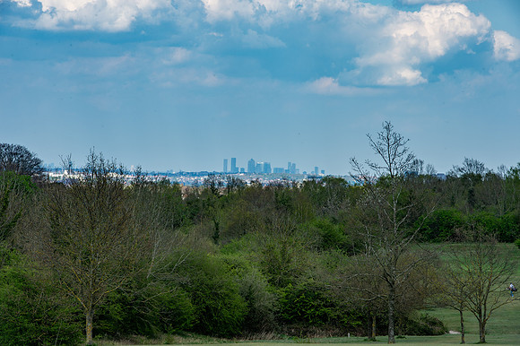 DSC_4949